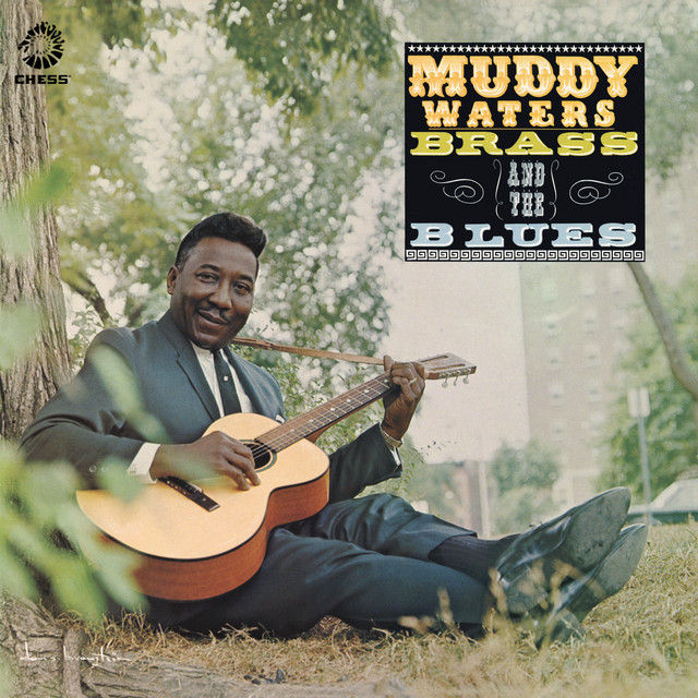 Muddy, Brass & The Blues album cover