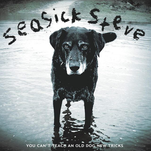 You Can't Teach An Old Dog New Tricks album cover