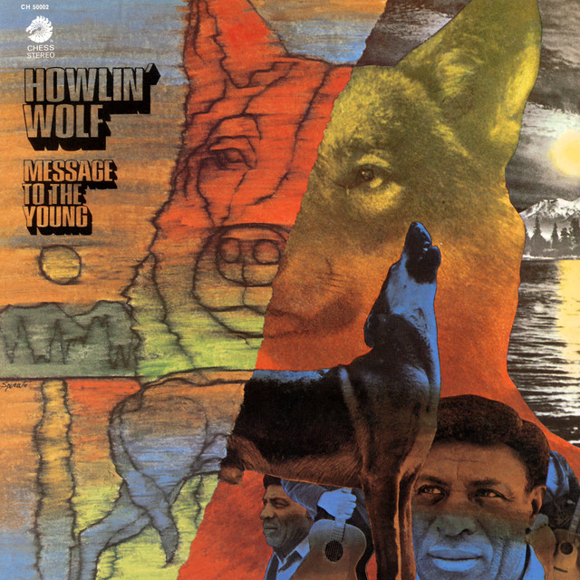 Message To The Young album cover