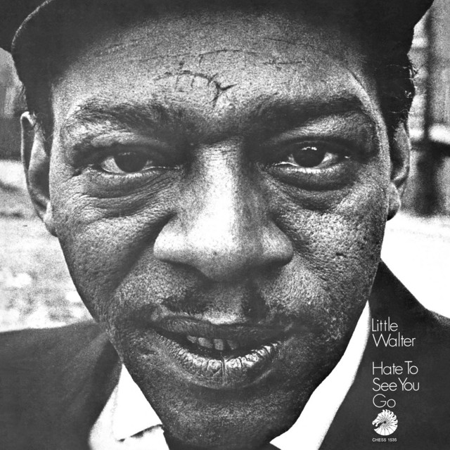 Hate To See You Go album cover