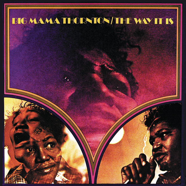 The Way It Is album cover