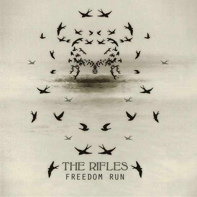 Freedom Run album cover