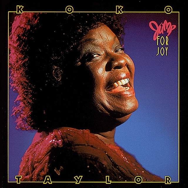 Jump For Joy album cover