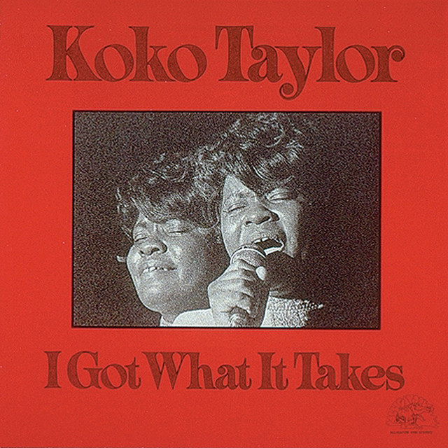 I Got What It Takes album cover