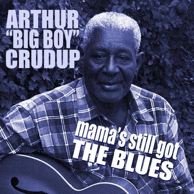 Mama's Still Got The Blues album cover