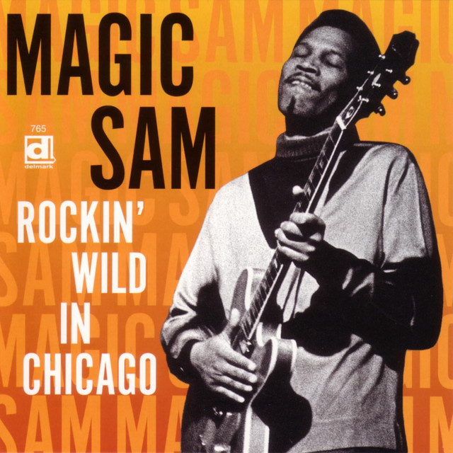 Rockin' Wild In Chicago album cover