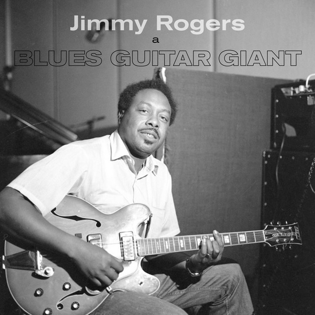 A Blues Guitar Giant album cover
