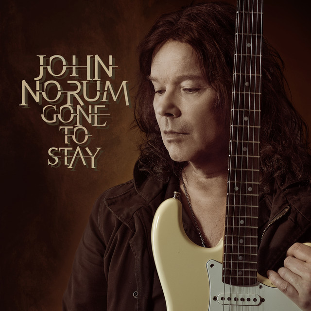Gone to Stay album cover