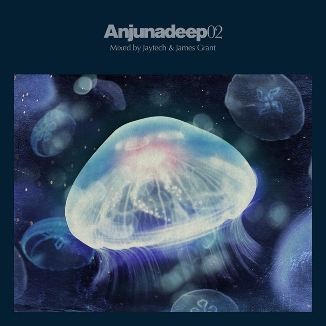 Anjunadeep 02 album cover