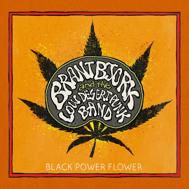 Black Power Flower album cover