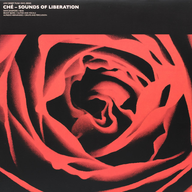 Sounds Of Liberation album cover
