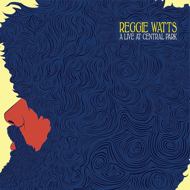 A Live at Central Park album cover