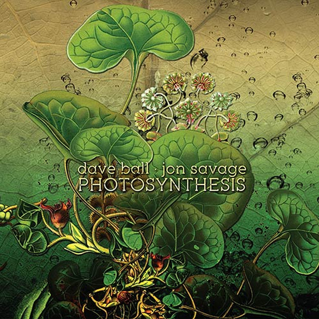 Photosynthesis album cover