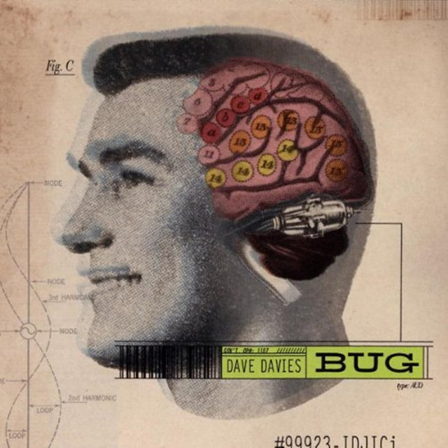 Bug album cover