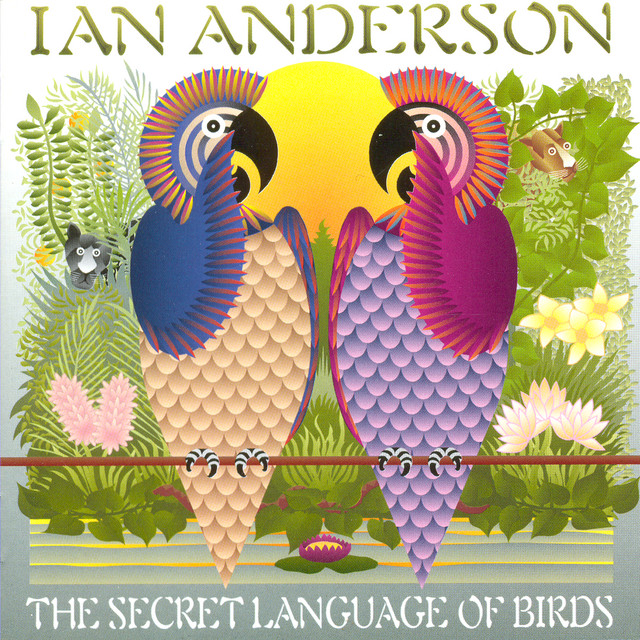 The Secret Language Of Birds album cover