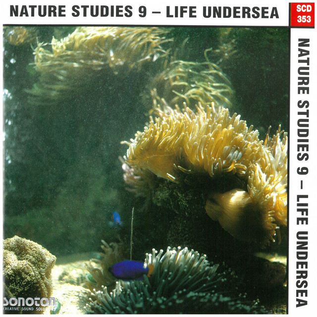 Nature Studies, Vol. 9: Life Undersea album cover