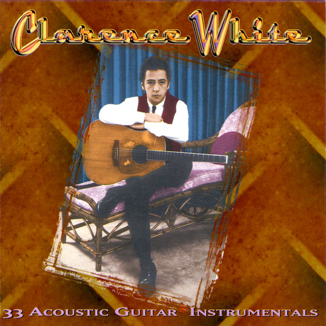 33 Guitar Instrumentals album cover