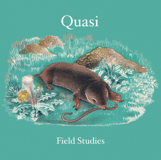 Field Studies album cover