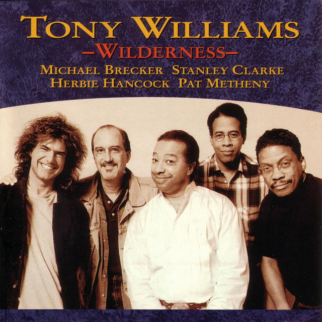 Wilderness album cover
