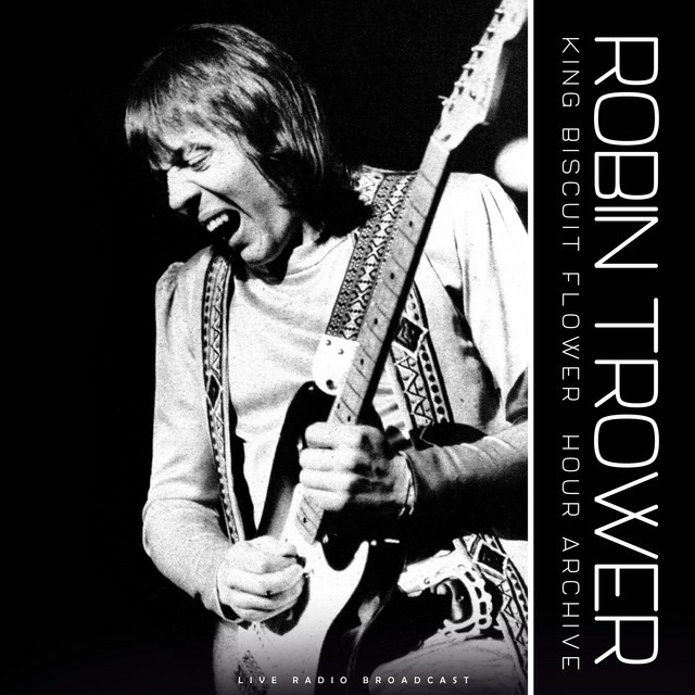 King Biscuit Flower Hour Archive Series (live) album cover