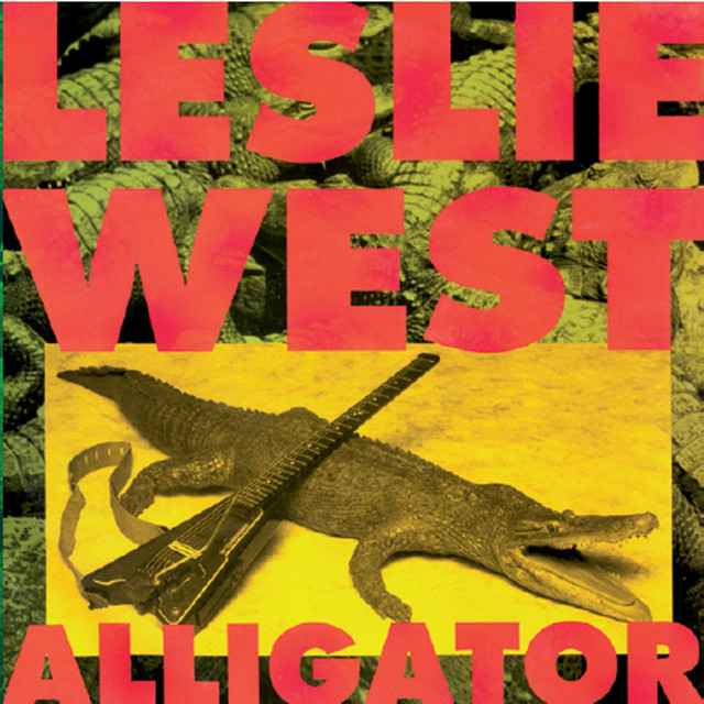 Alligator album cover