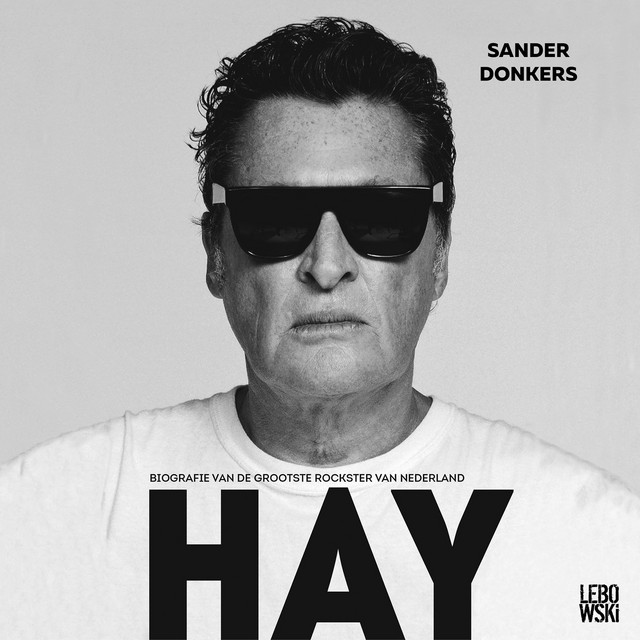Hay - Biografie van de grootste rockster van Nederland (Onverkort) album cover
