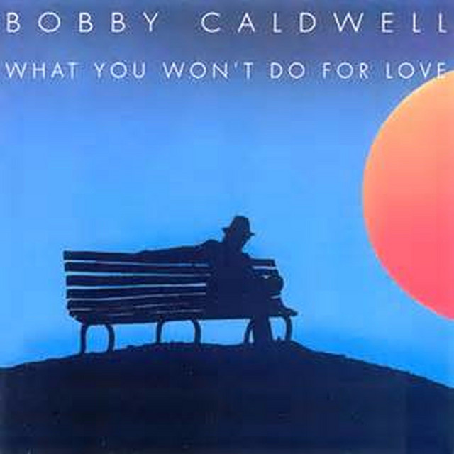 What You Won't Do for Love album cover