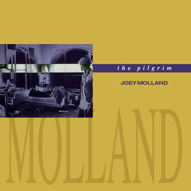 The Pilgrim album cover