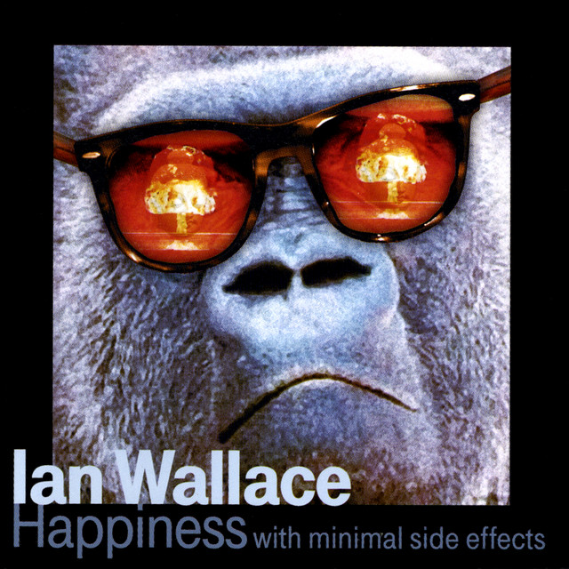 Happiness With Minimal Side Effects album cover