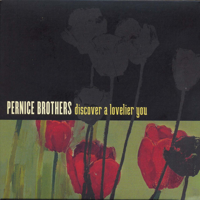 Discover A Lovelier You album cover