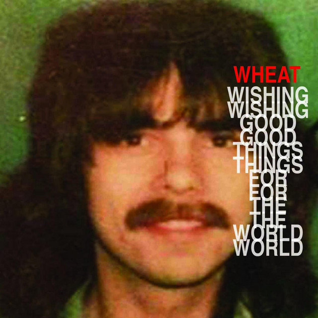 Wishing Good Things for the World album cover