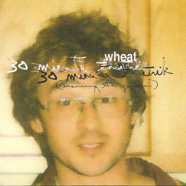 30 Minute Theatrik (Scanning the Garden) album cover