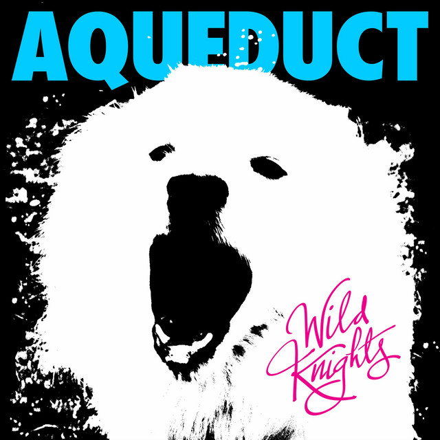 Wild Knights album cover