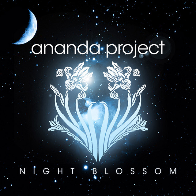Night Blossom album cover