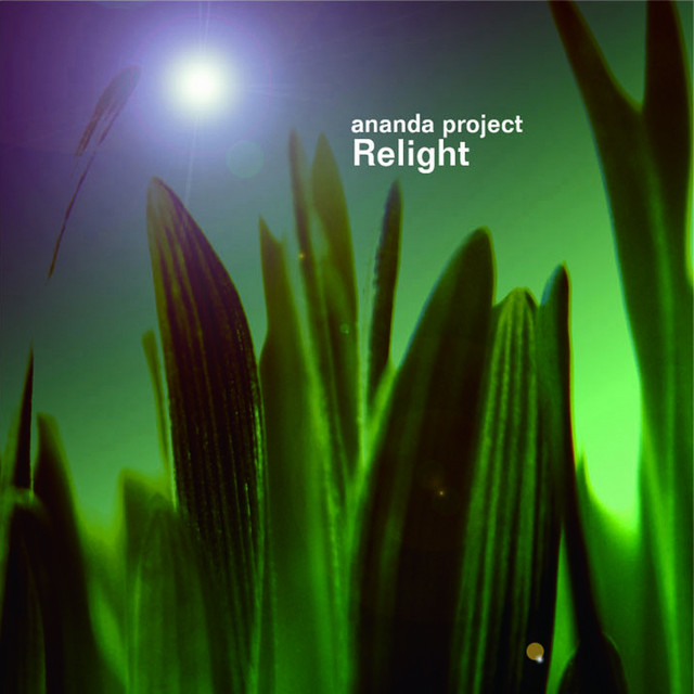 Relight album cover