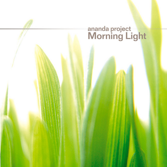 Morning Light album cover