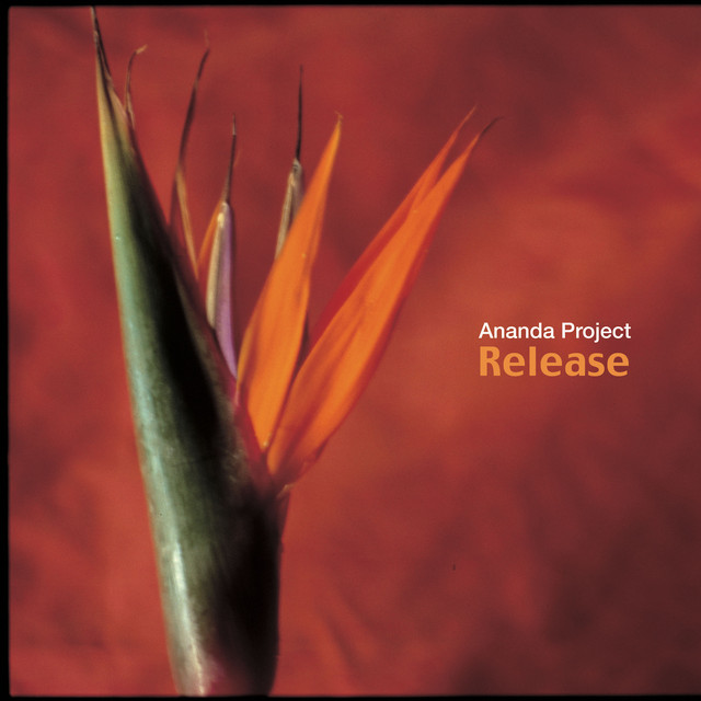 Release album cover