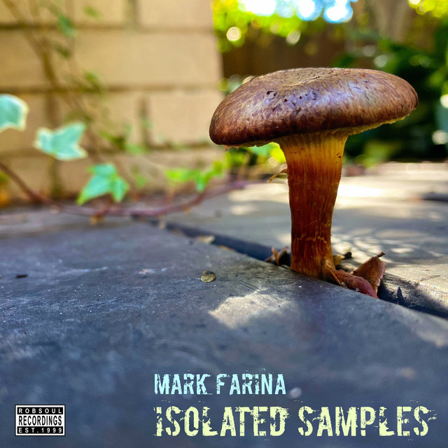 Isolated Samples album cover