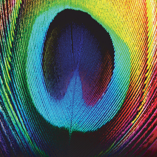 Peacock album cover