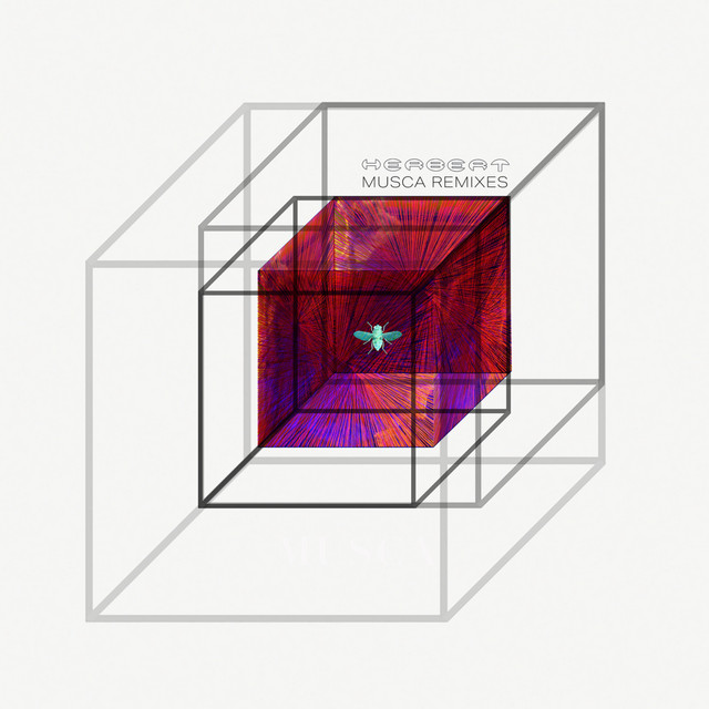 Musca (Remixes) album cover