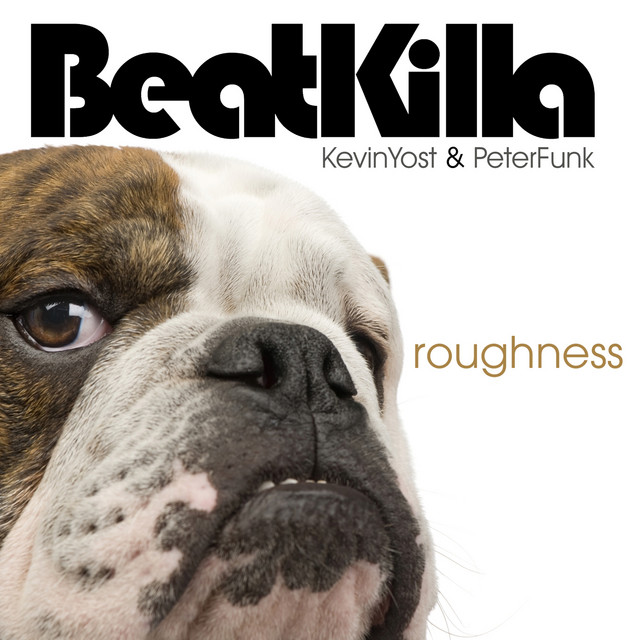 BeatKilla: Roughness album cover