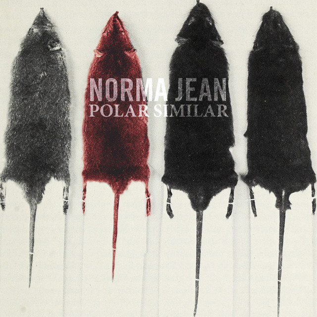 Polar Similar album cover