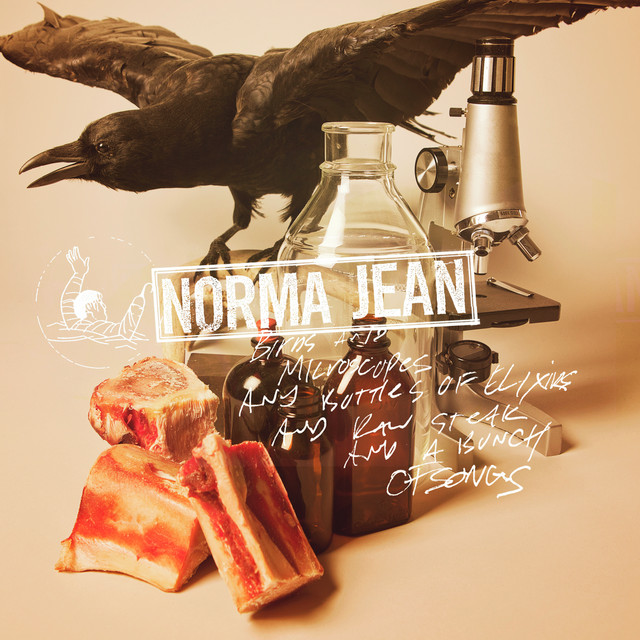 Birds And Microscopes And Bottles Of Elixirs And Raw Steak And A Bunch Of Songs album cover