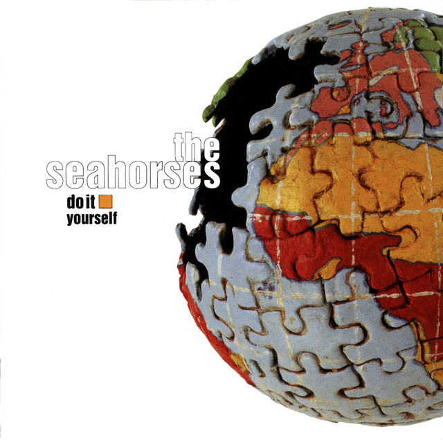 Do It Yourself album cover