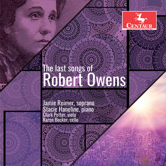 The Last Songs of Robert Owens album cover