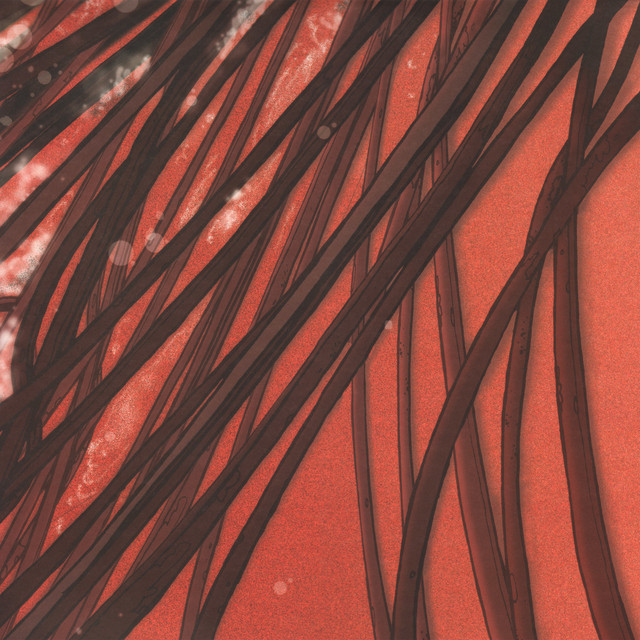 Cardiology album cover