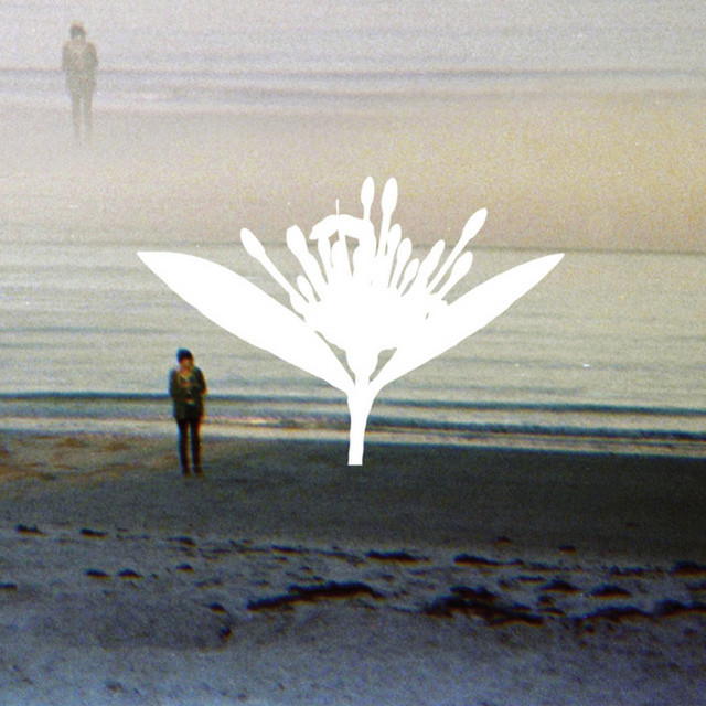 Ixora Twin album cover