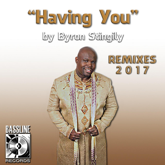 Having You (2017 Remixes) album cover