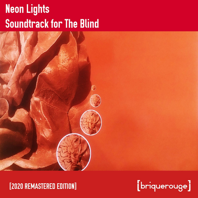 Soundtrack For The Blind album cover