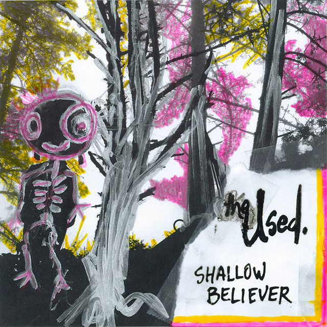 Shallow Believer album cover